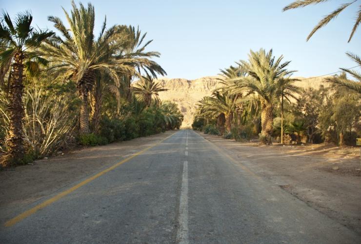 קיבוץ קליה בצפון ים המלח