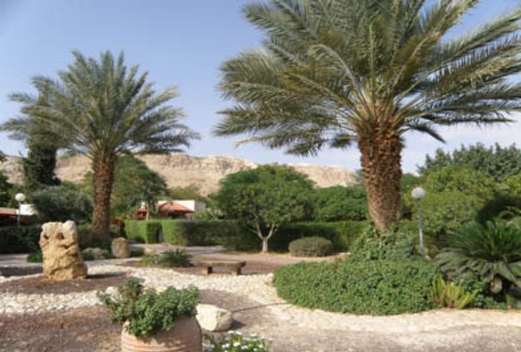 קיבוץ קליה בצפון ים המלח
