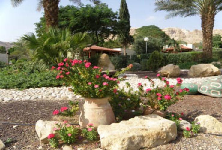 קיבוץ קליה בצפון ים המלח