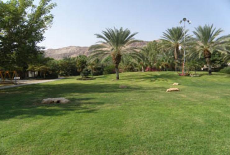 קיבוץ קליה בצפון ים המלח