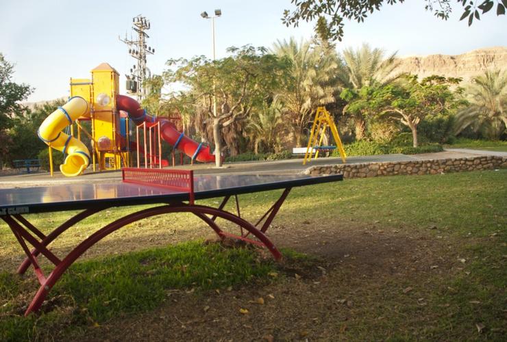 קיבוץ קליה בצפון ים המלח