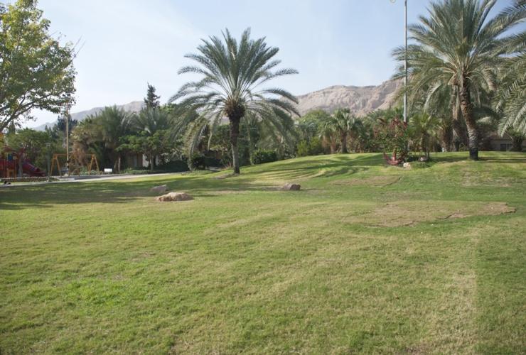 קיבוץ קליה בצפון ים המלח