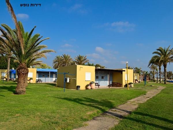 כפר דור