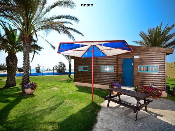 כפר דור
